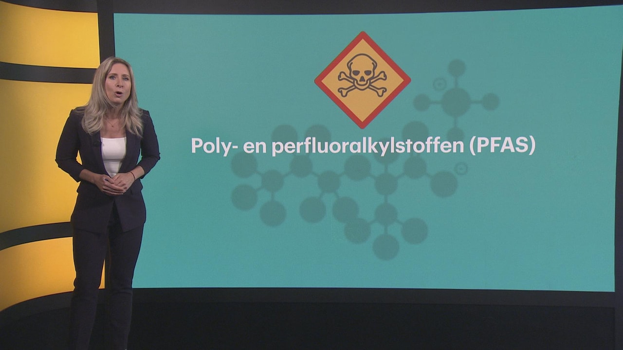 Bekijk ook: Wat doet ons kabinet aan PFAS?