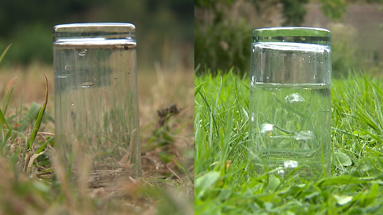 Bekijk ook: zo slecht neemt gortdroge grond regenwater op