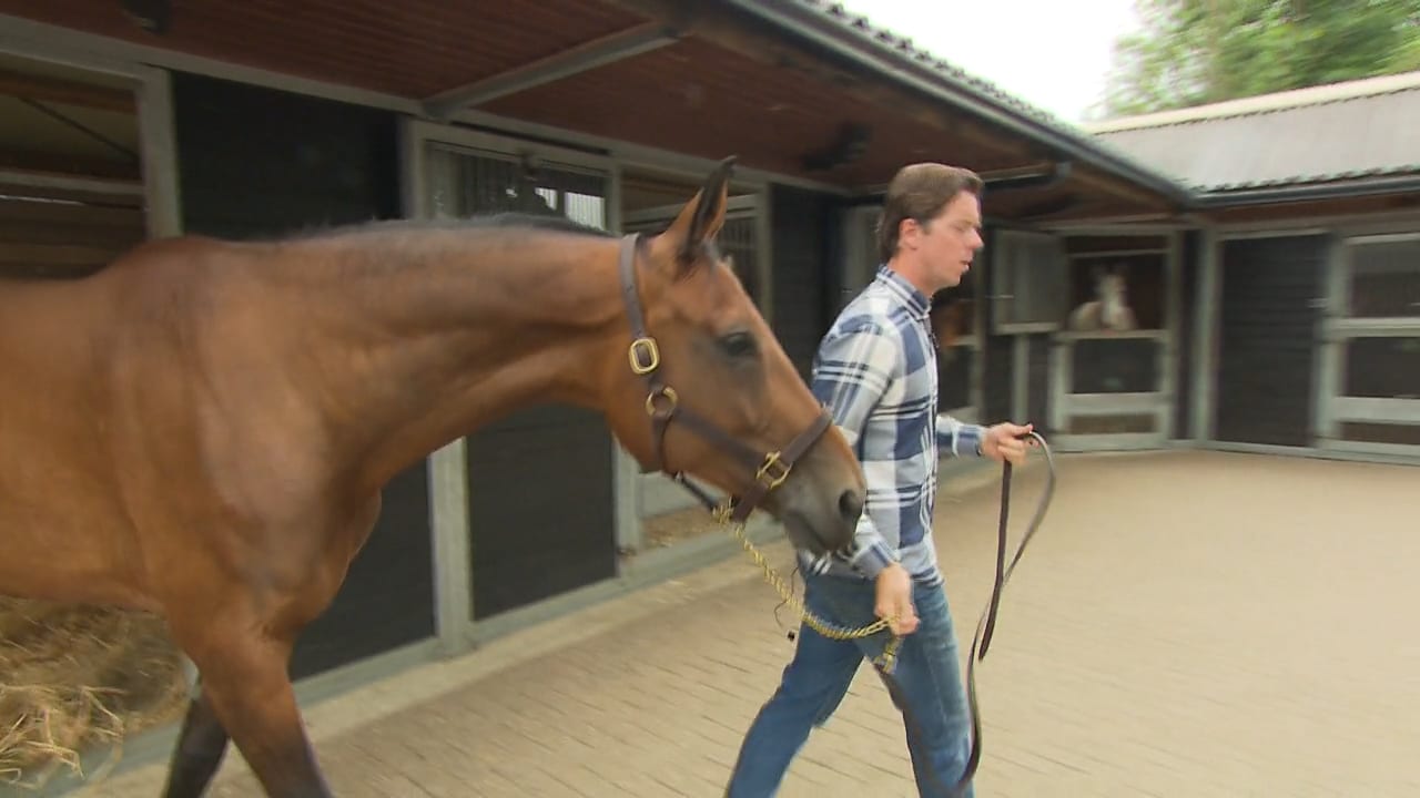 Bekijk de video hier: