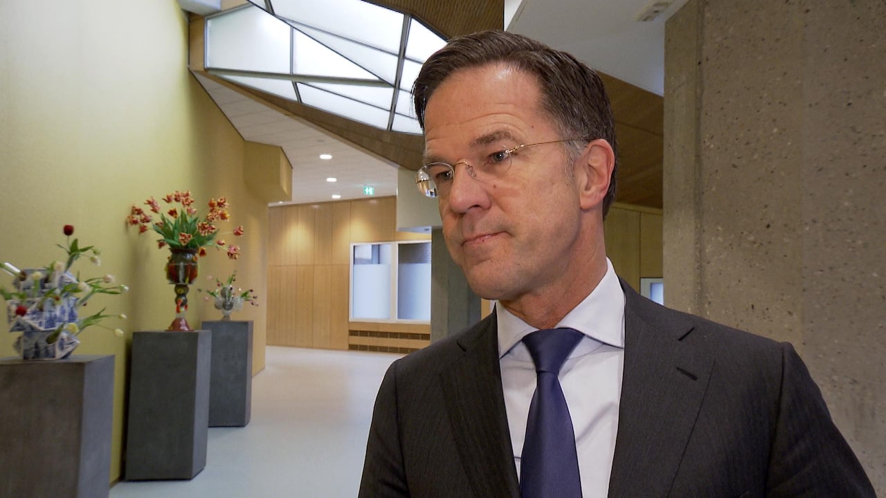 Bekijk ook: Rutte zegt dat Nederland tanks wil leveren: 'Rusland moet dit verliezen'