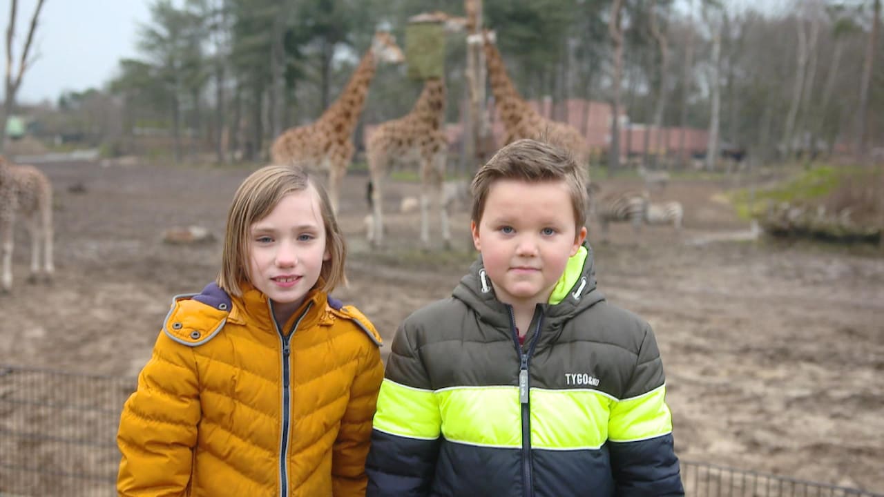 Thuisonderwijs in safaripark: 'Kijk daar zijn de neushoorns'