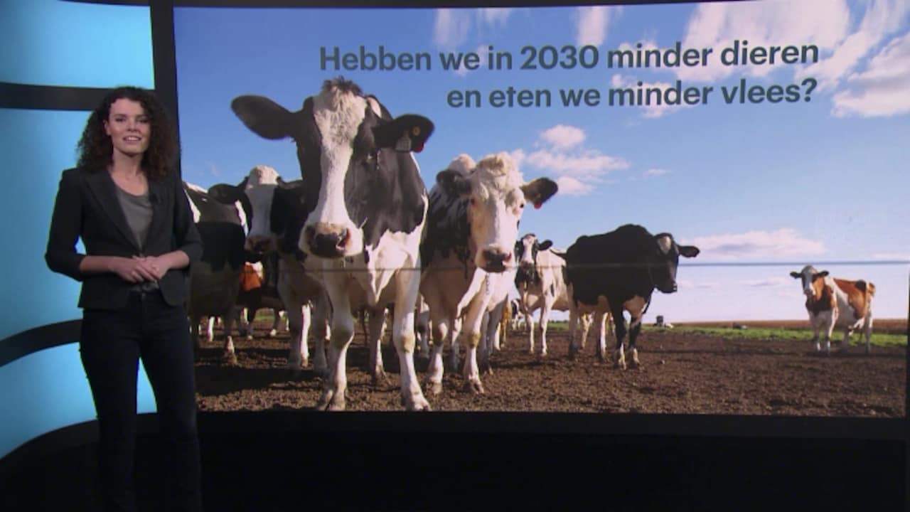 Bekijk ook deze video: