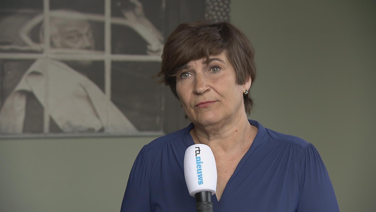 Bekijk ook: PvdA-leider over de ideeën Rutte