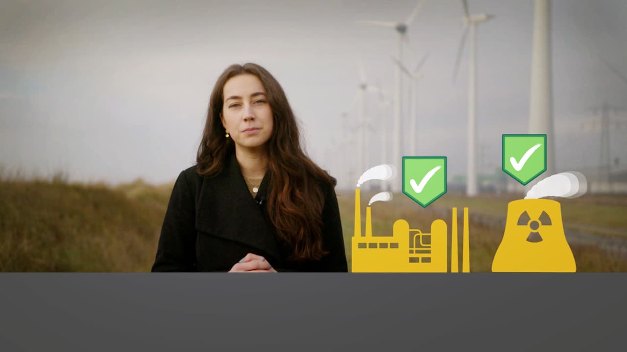 Bekijk ook: Kernenergie en gas groen?