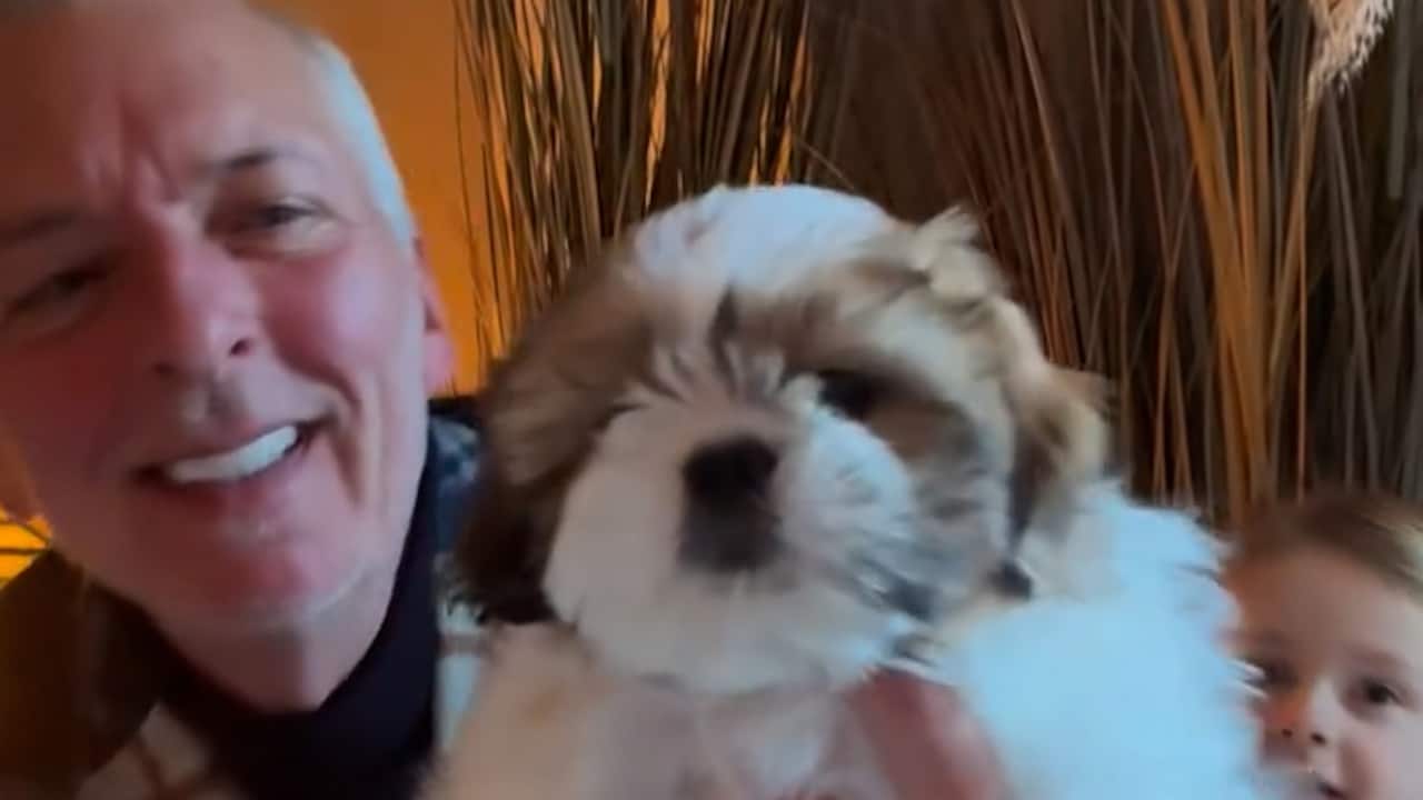 Geraldine Kemper viert verjaardag in het bos en Martien Meiland stelt puppy voor