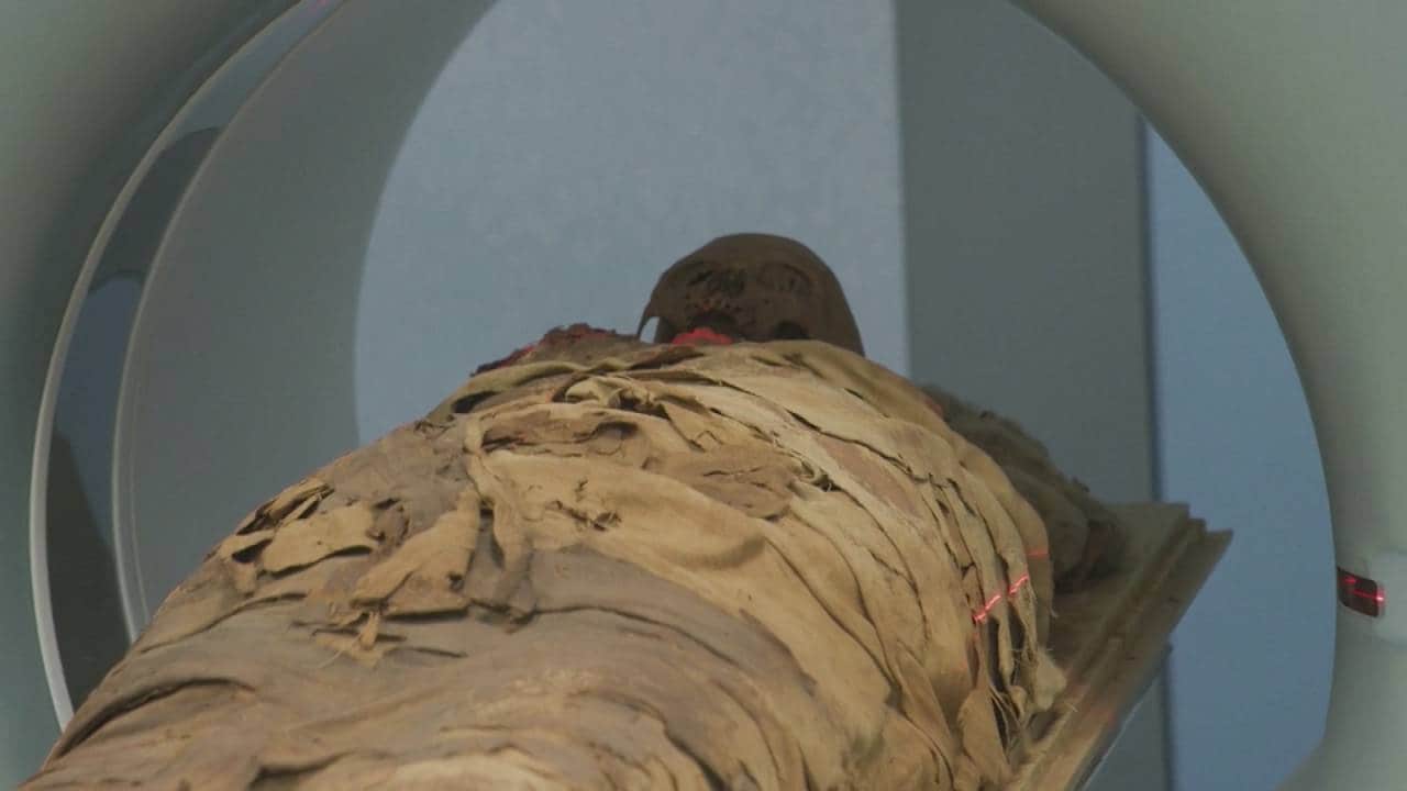 Bekijk ook: CT-scan toont aan: 'Mummies zijn eigenlijk biologisch museum'