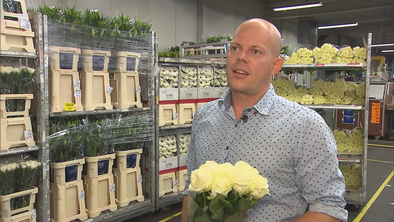 Bekijk ook: Engeland rouwt met Nederlandse bloemen