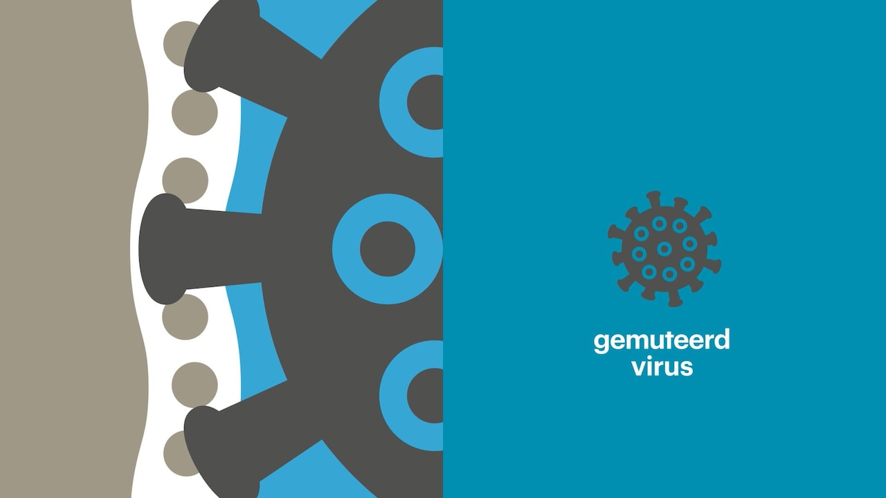 Bekijk ook: zo werkt de nieuwe variant van het coronavirus