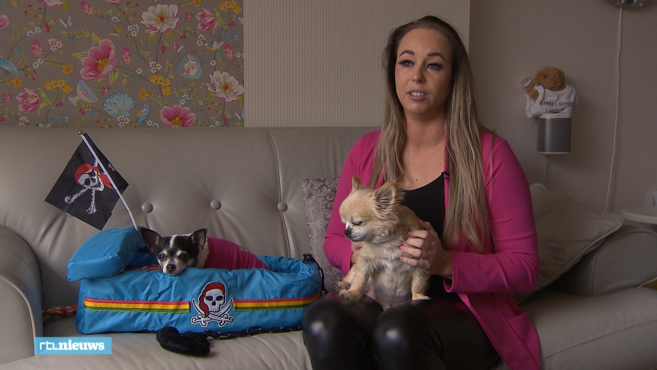 Bibiche kreeg een chihuahua cadeau en was daar helemaal niet blij mee