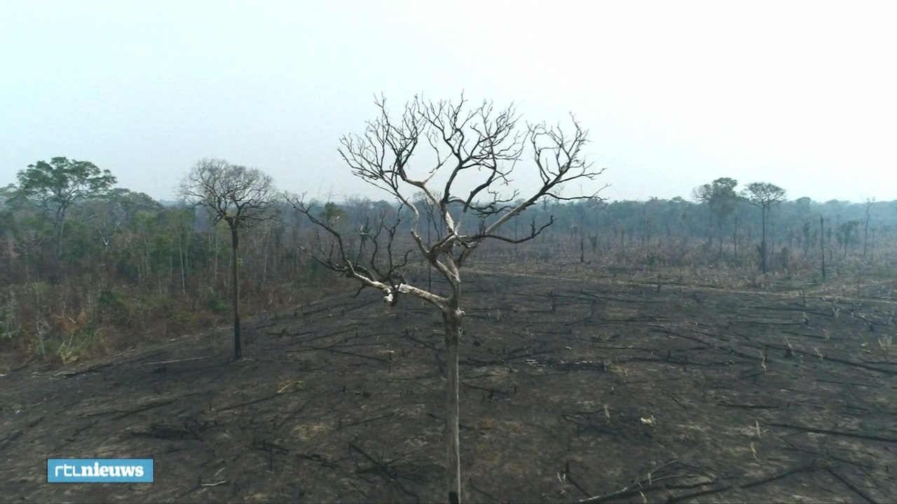 De verwoesting van de Amazone gefilmd met een drone