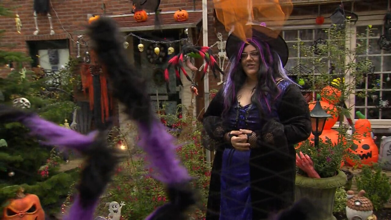 Bekijk hier de video:
