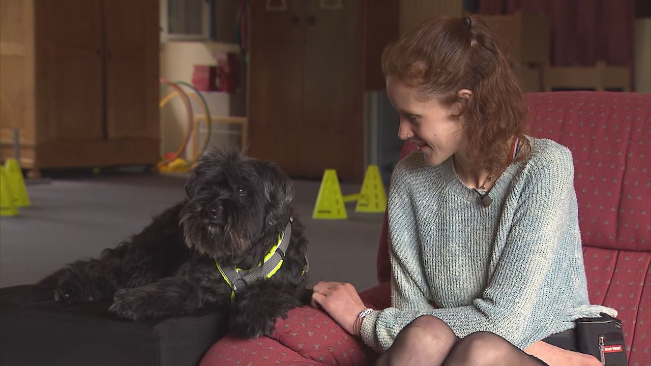 Bekijk ook: Hulphond voor motivatie bij eetstoornis