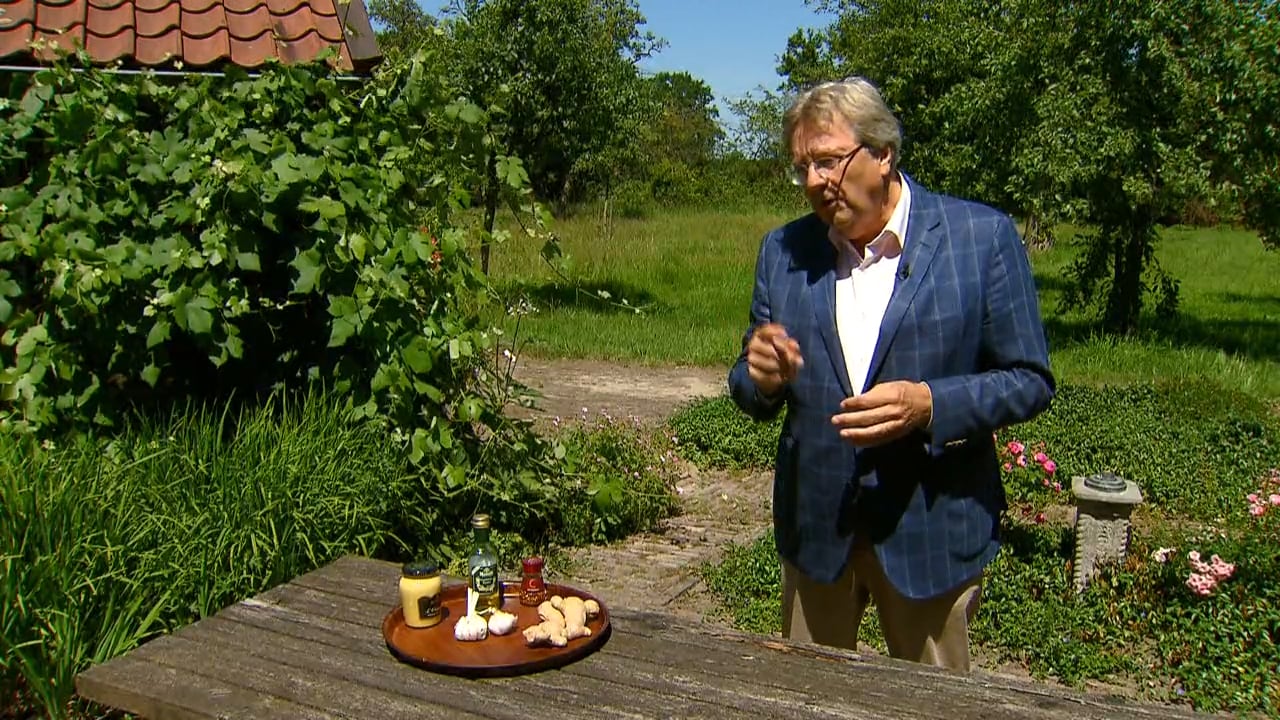 Bekijk hier de video: