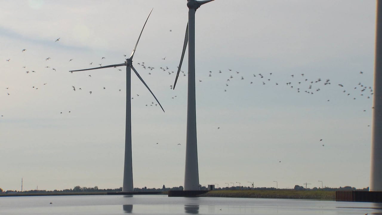 Bekijk ook: Camerasysteem redt vogels uit de wieken van windmolens