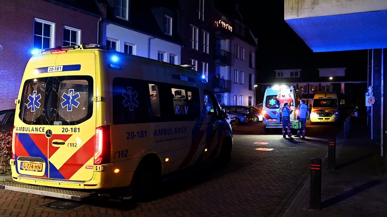 Twee zwaargewonde kinderen in huis vermeende spookrijder A58