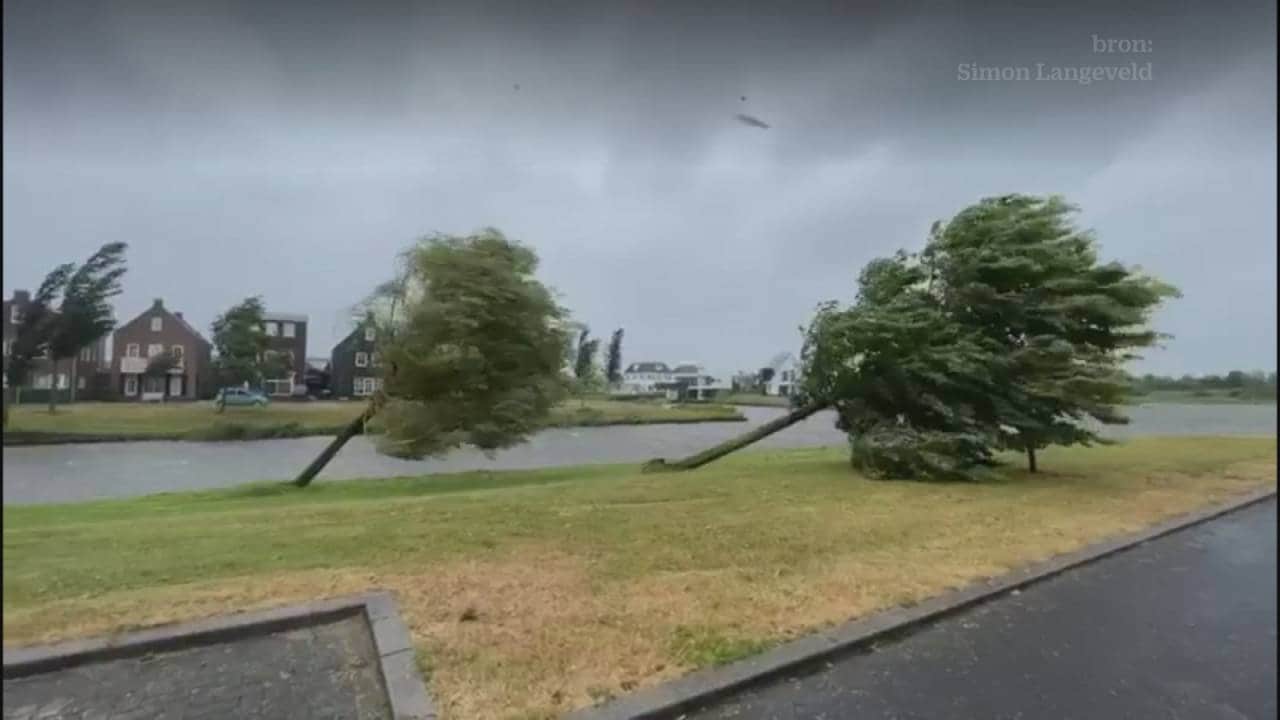 Bekijk ook: Bomen en trampolines werden omver geblazen door storm Poly