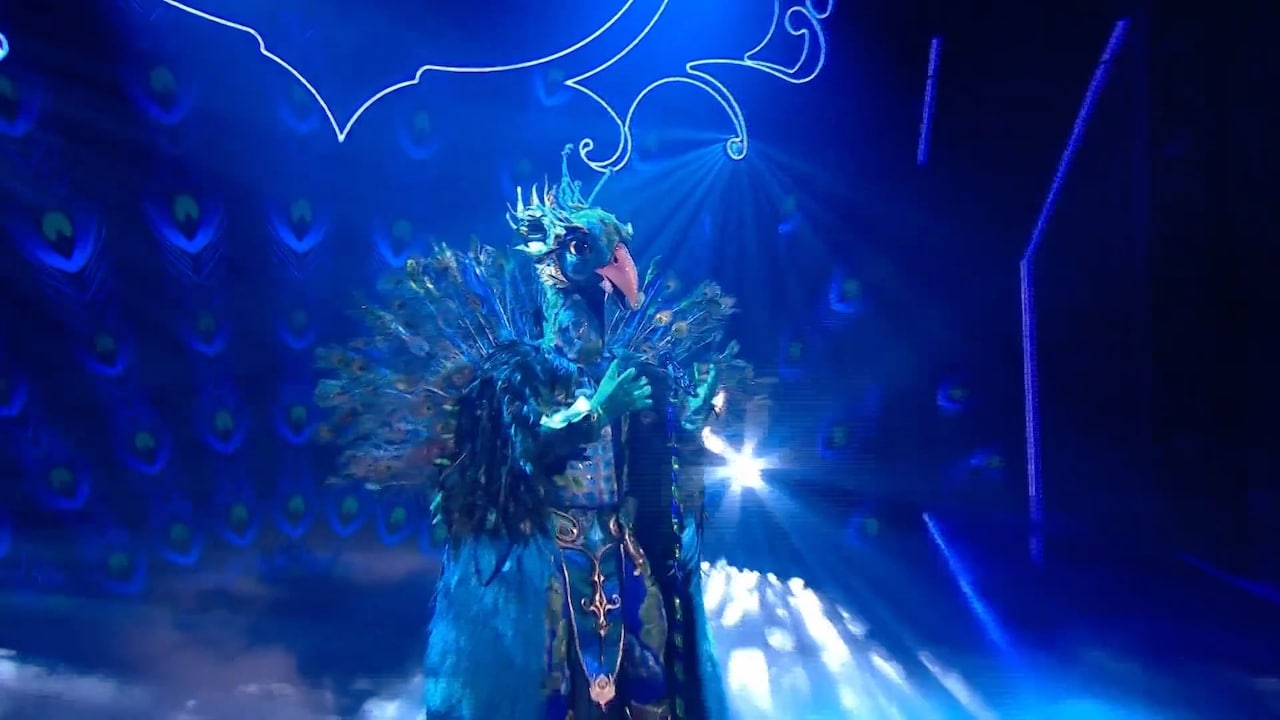 Kijkers noemen hem een winnaar, maar wie gaat er schuil achter de Pauw in The Masked Singer?