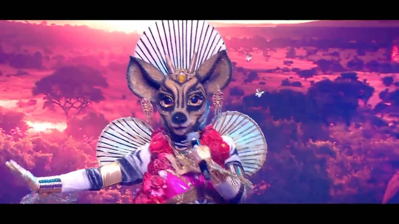 Kijkers verdeeld: deze BN'ers worden het meest genoemd als de Okapi in The Masked Singer