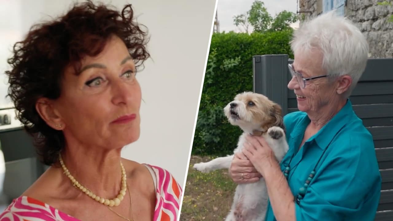 Magda uit B&B Vol Liefde verlaat Frankrijk na 26 jaar: 'Mijn verstand zegt dat ik terug moet'