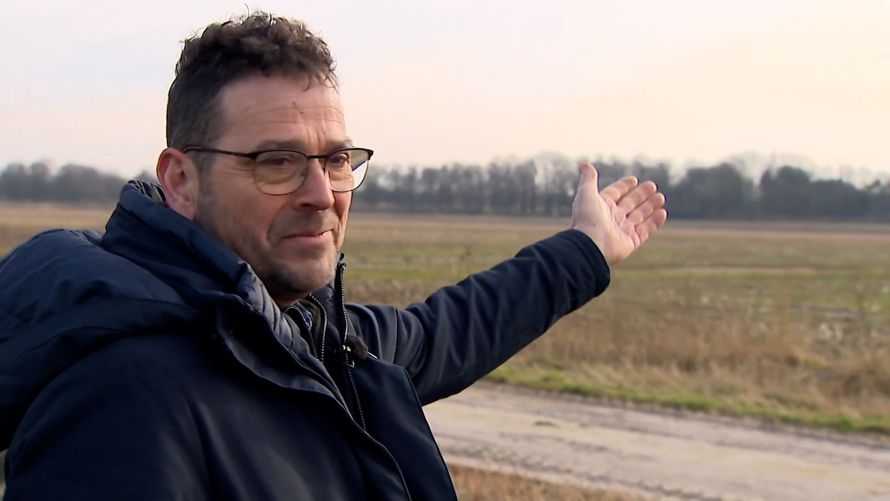 Koeien inruilen voor lelieteelt: 'Van het ene probleem naar het andere'