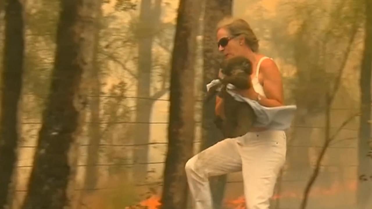 Australische vrouw redt koala uit zinderende vuurzee