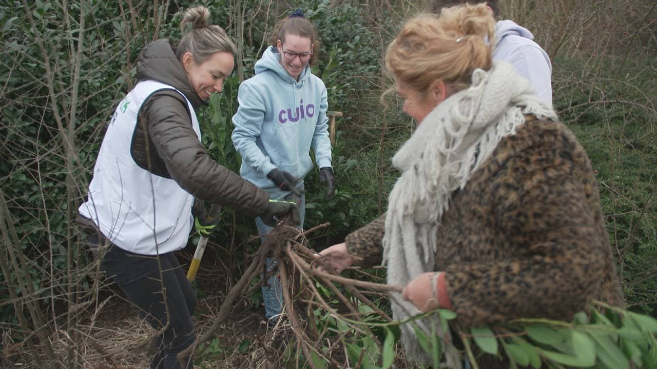 'Struikrovers' redden planten van de vuilnisbelt
