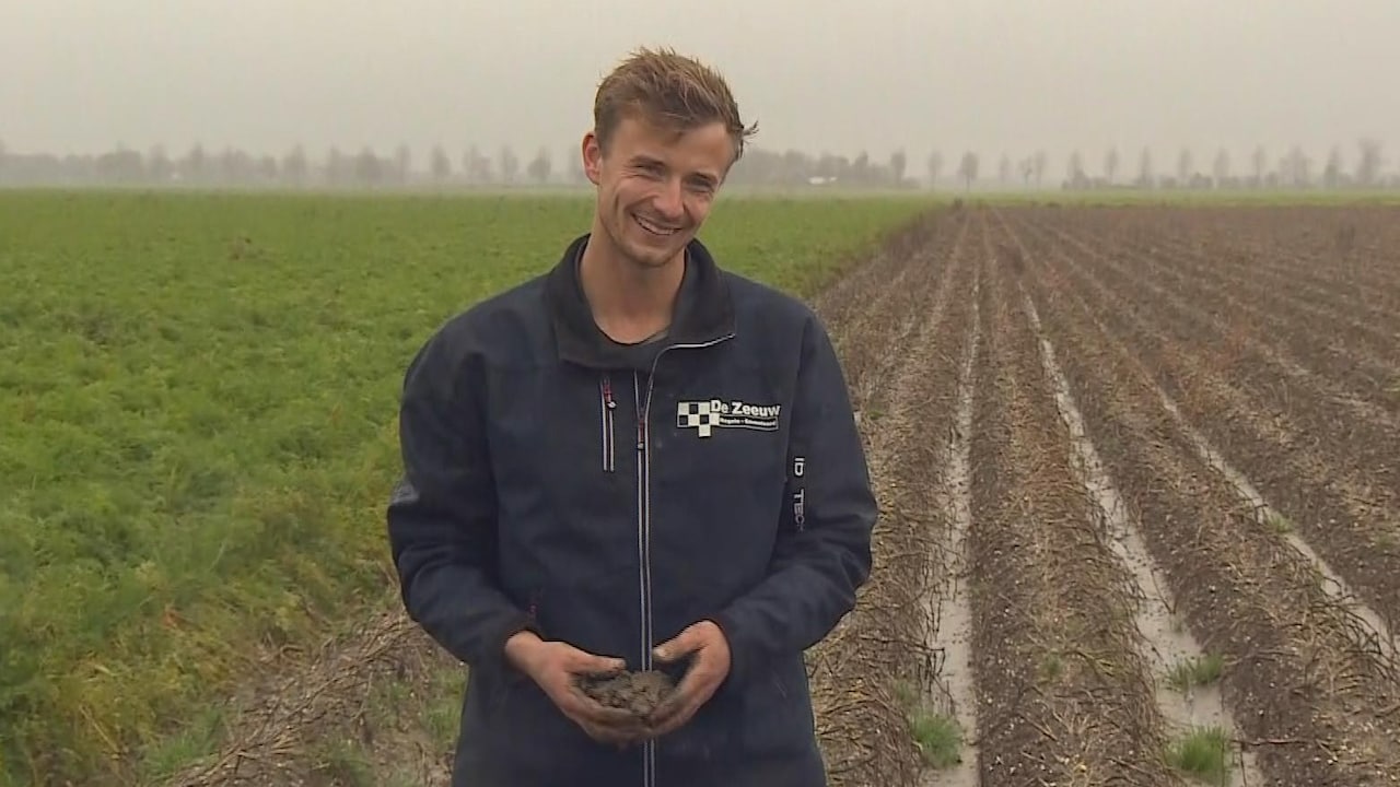 Bekijk ook: Aardappels kunnen niet uit de grond, boeren snakken naar droogte