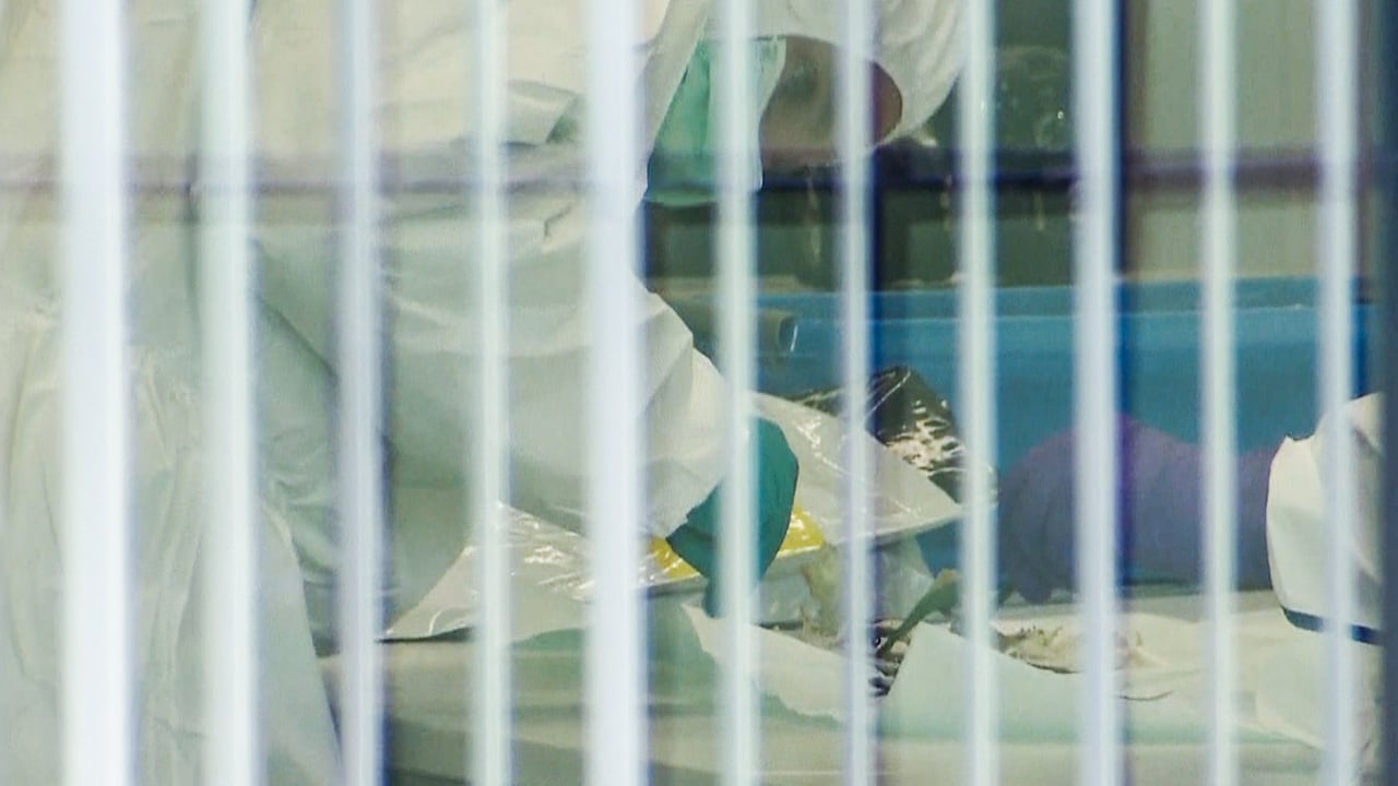 Eerste beelden van ontplofte bombrief in Kerkrade: politie doet onderzoek