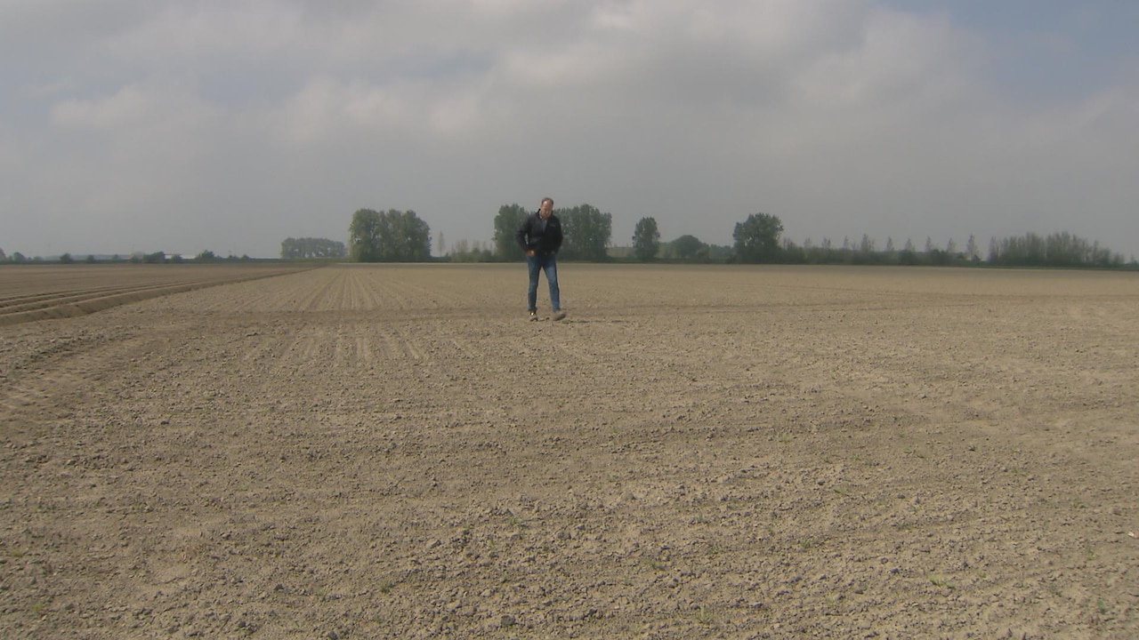 Bekijk ook: Droogte kan wel voor problemen gaan zorgen bij boeren
