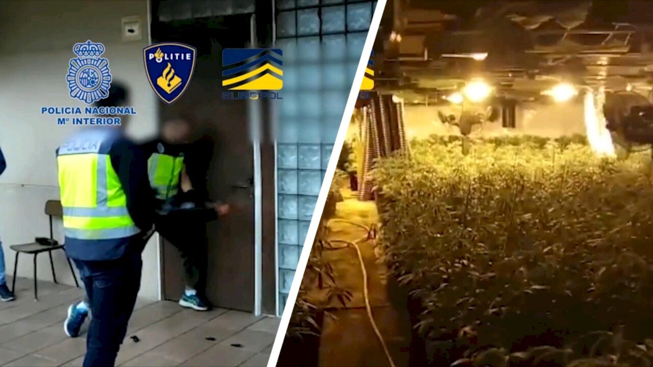 Bekijk ook: Kijkje bij politieactie tegen grote drugsbende