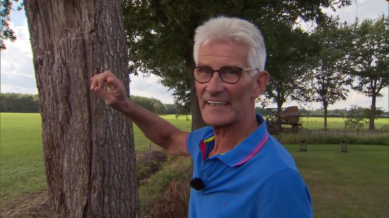 Boer Hendrik zet vogels in tegen processierups