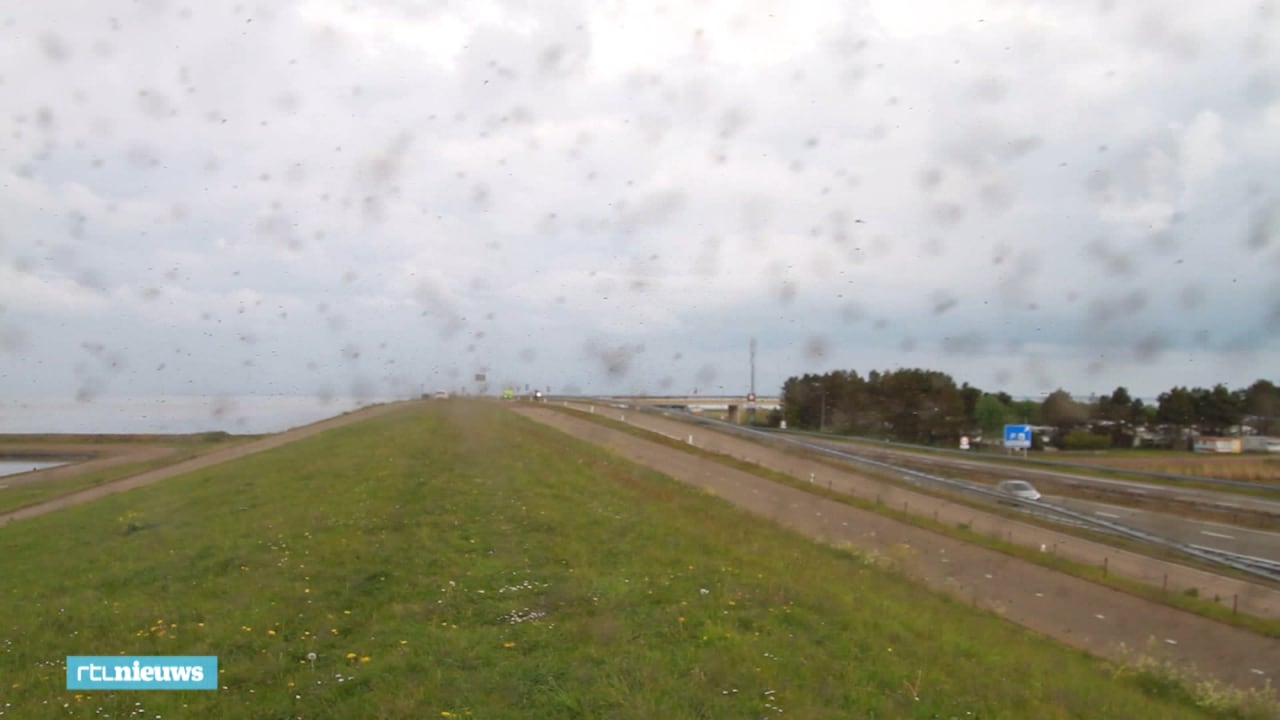 Miljarden muggen zwermen boven de Afsluitdijk: