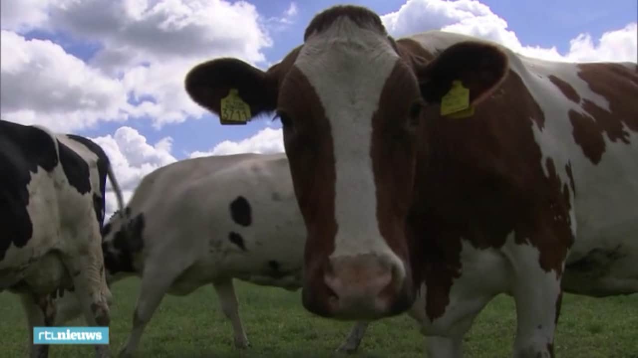 Bekijk ook: uitzonderlijk lage waterstand drijft ook boeren tot wanhoop