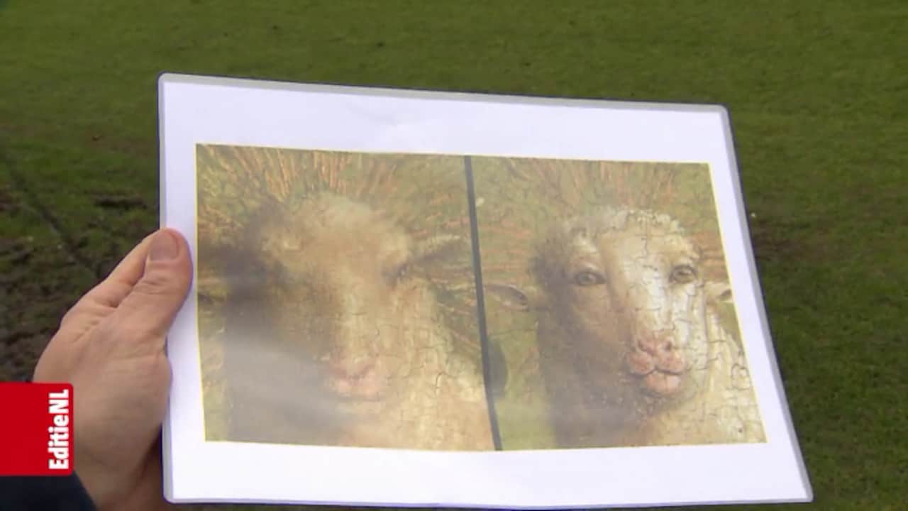 Lam Gods, wat zie je eruit!