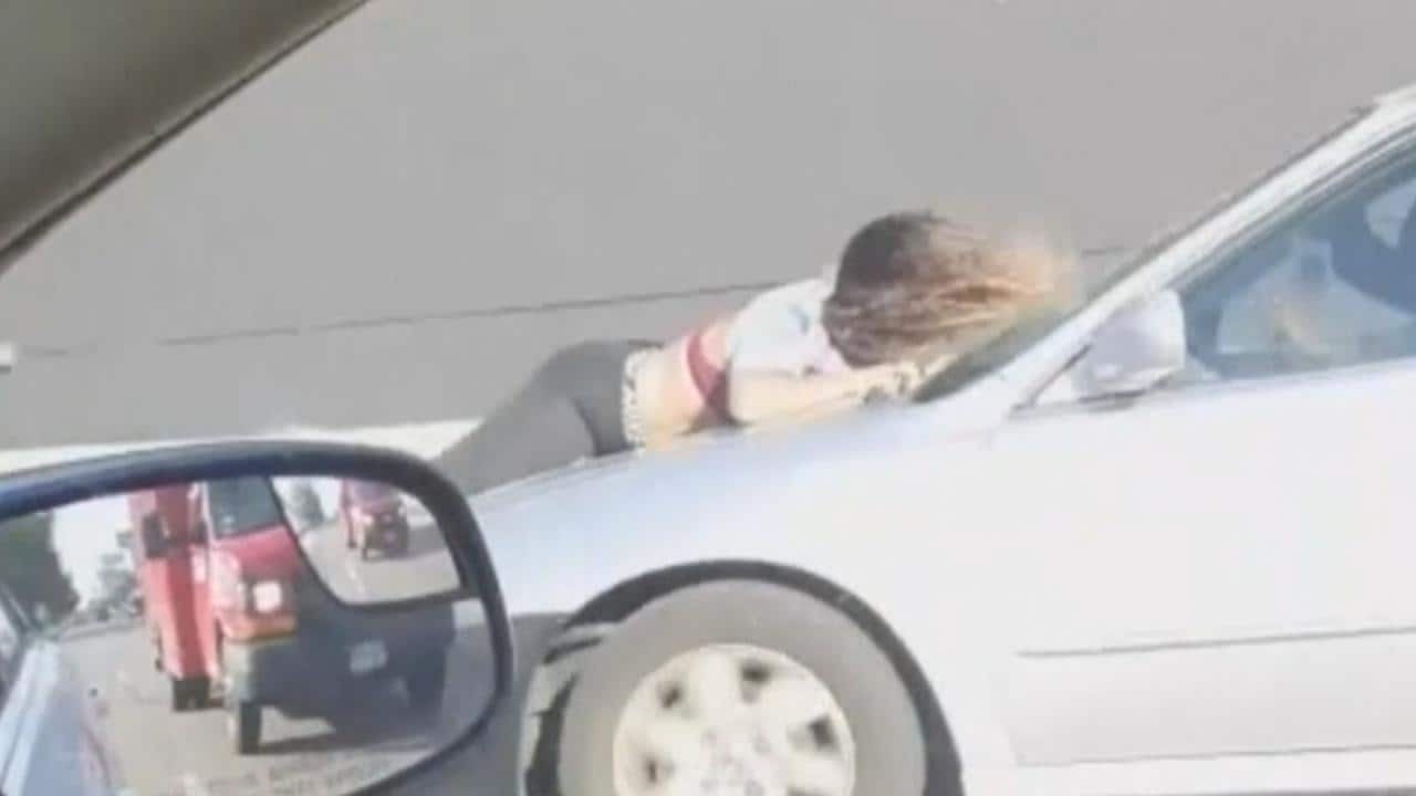 Kijk ook: Vrouw verijdelt diefstal puppy, meegesleurd op motorkap