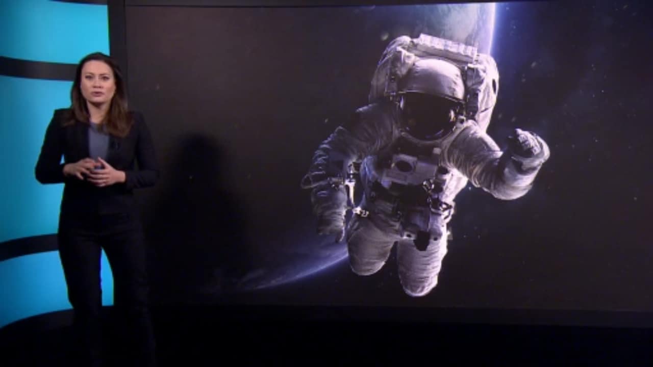 Bekijk ook: Solliciteren voor astronaut? Dit zijn de mogelijkheden