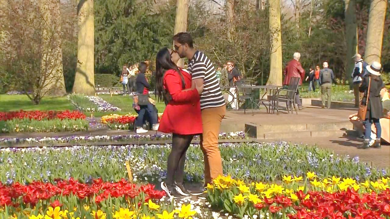 Bekijk hier de video:
