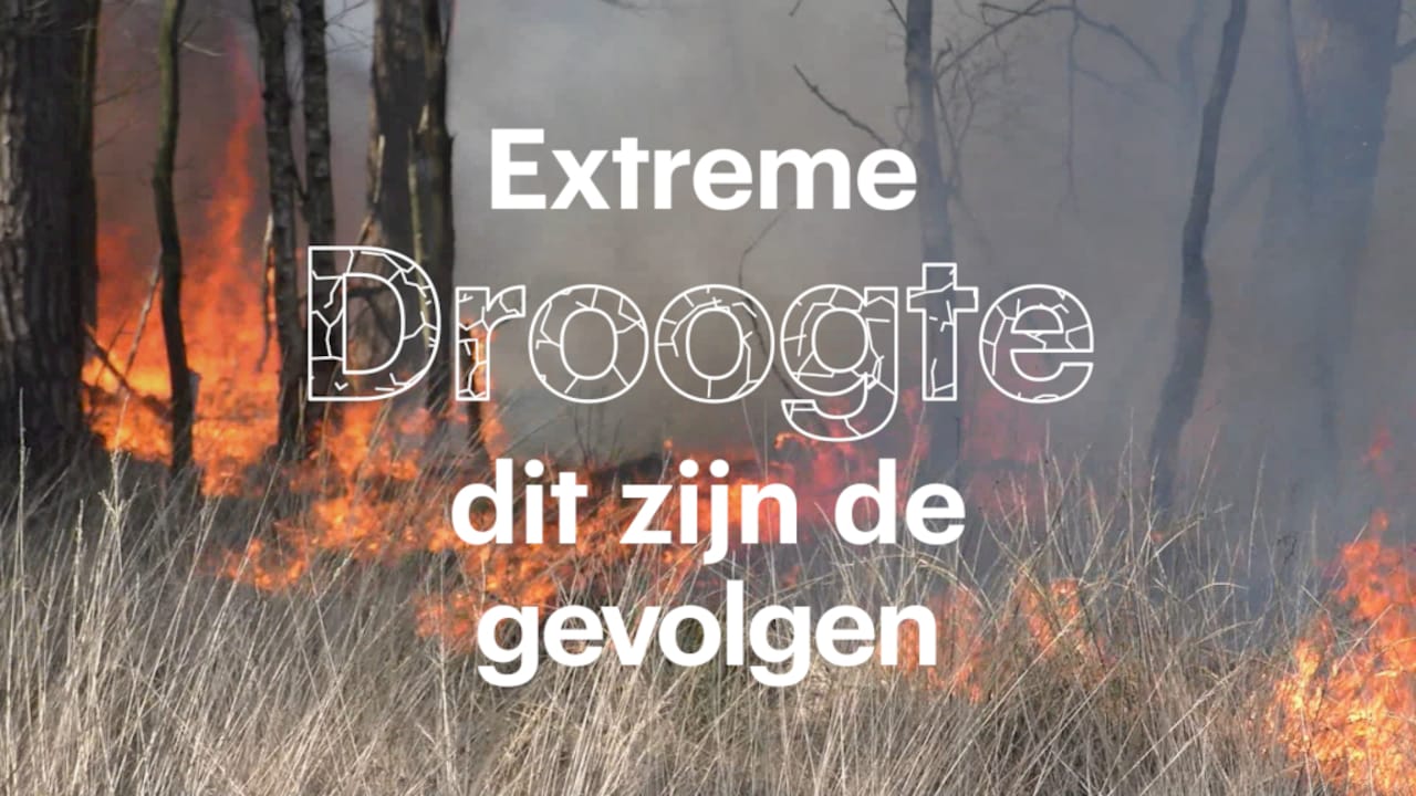  Natuurbranden door droogte: maar het regende toch zoveel?