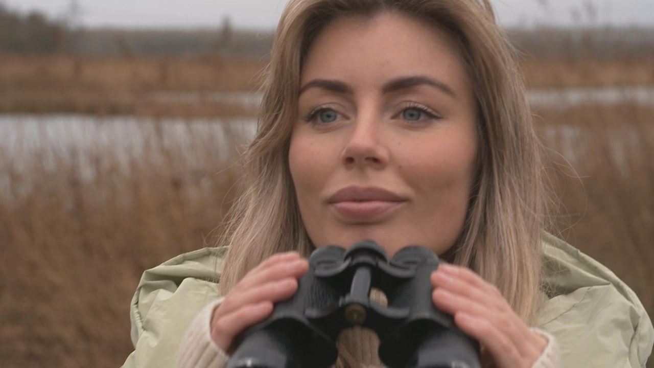 Bekijk ook: Last van lockdownverveling? Ga vogels kijken!