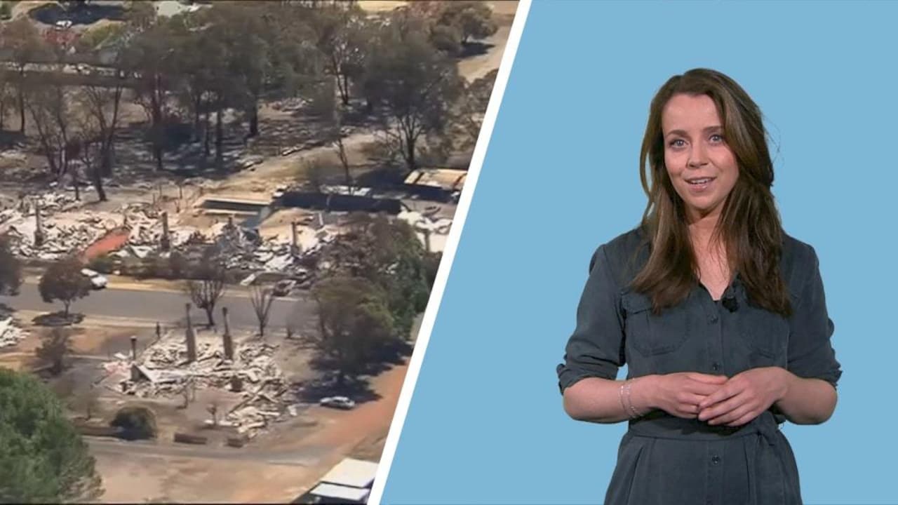 Recordhitte, hongersnood en overstromingen: dit is (weermonster) El Niño