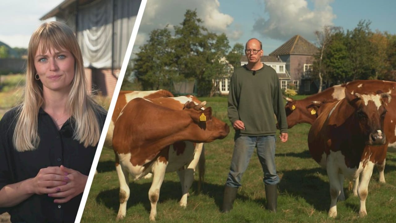 Bekijk ook: Hoe machtige bedrijven milieuvriendelijke boeren tegenwerken