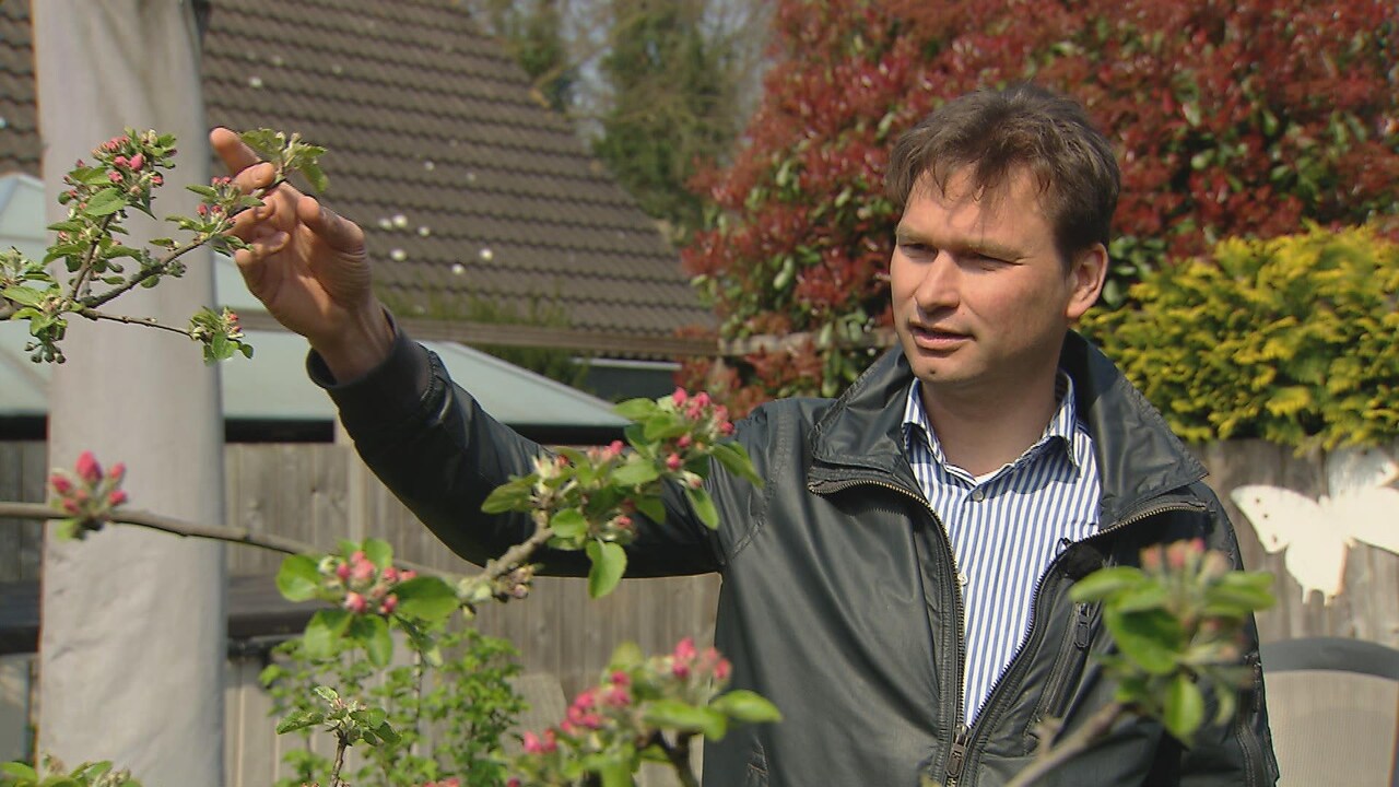 Bekijk ook: De lente komt dit jaar tergend traag op gang