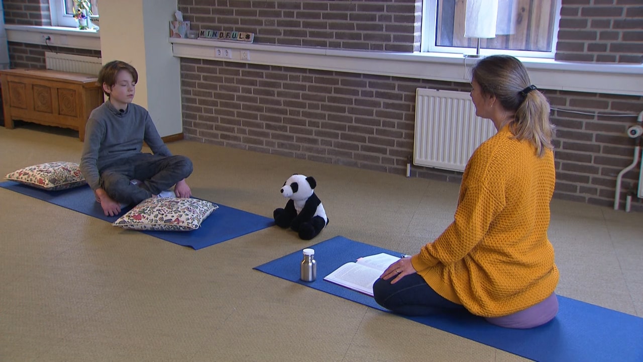 Bekijk de video: