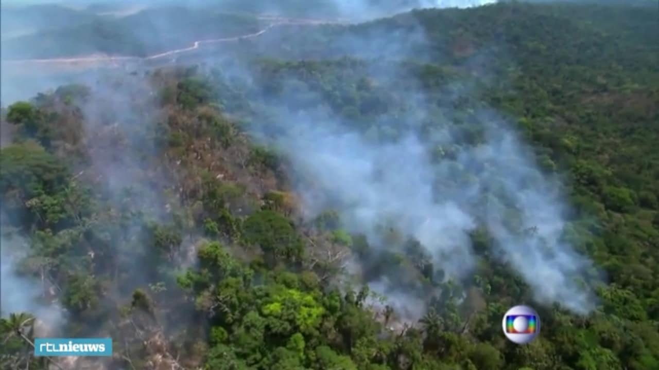 Nog nooit stond er zoveel Braziliaans regenwoud in brand: