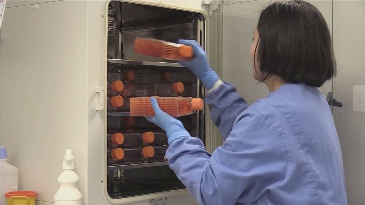 Is dit het vaccin dat corona gaat verslaan?
