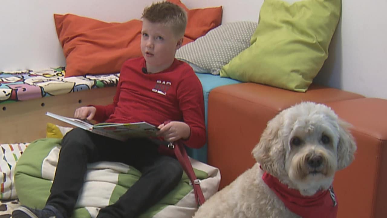 Bekijk ook: Daan geniet weer van lezen door voorleeshond Sérah