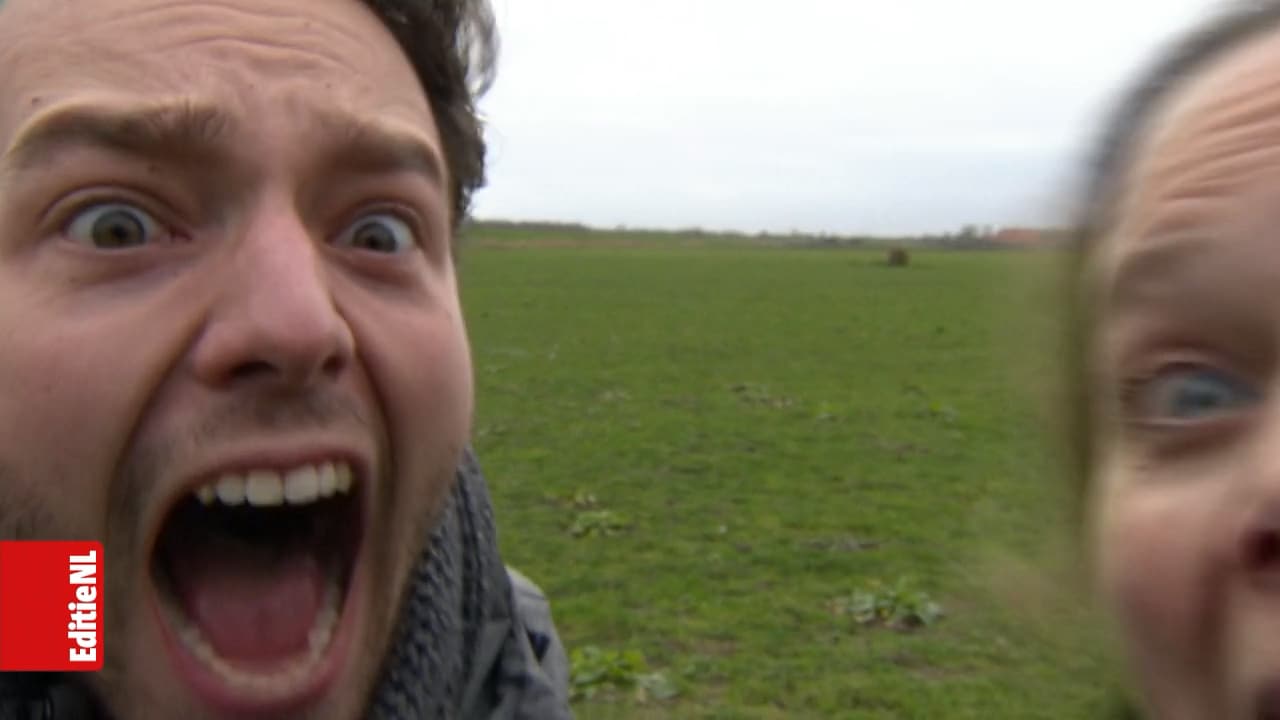 Bekijk de video hier: