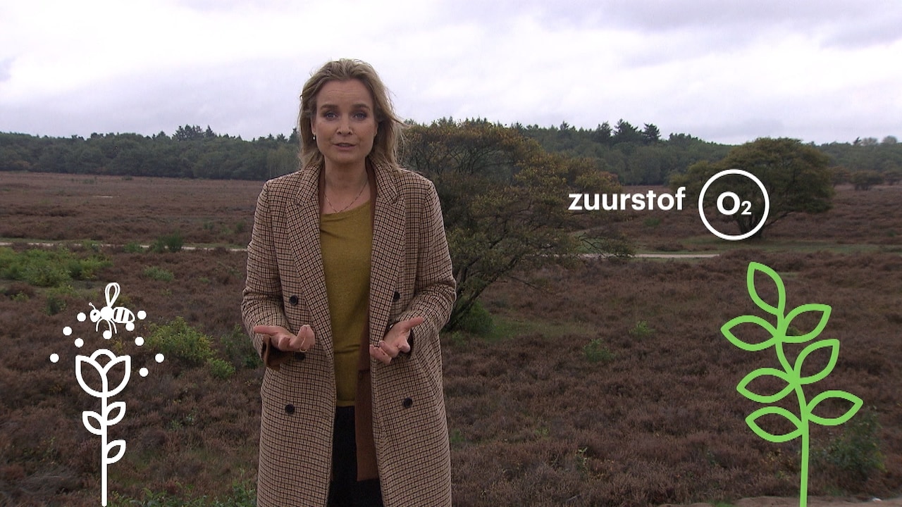 Stikstof: gevaarlijk voor mens én natuur