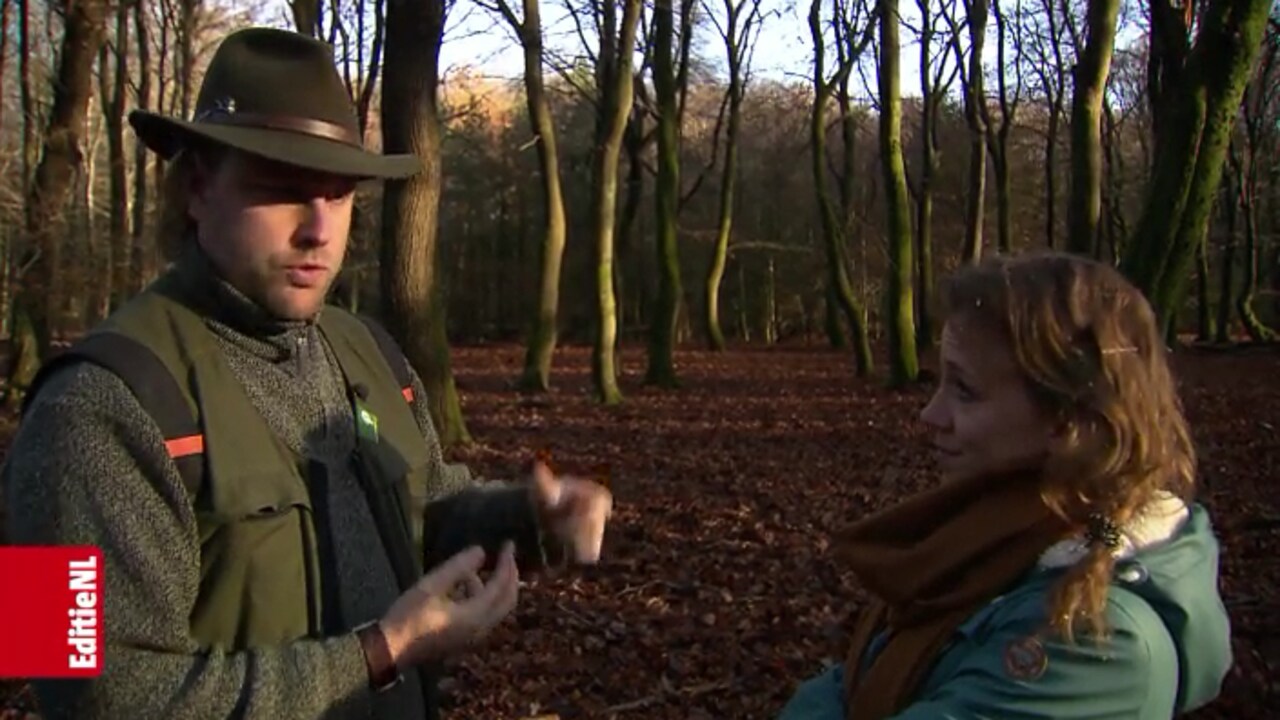 Bekijk hier de video