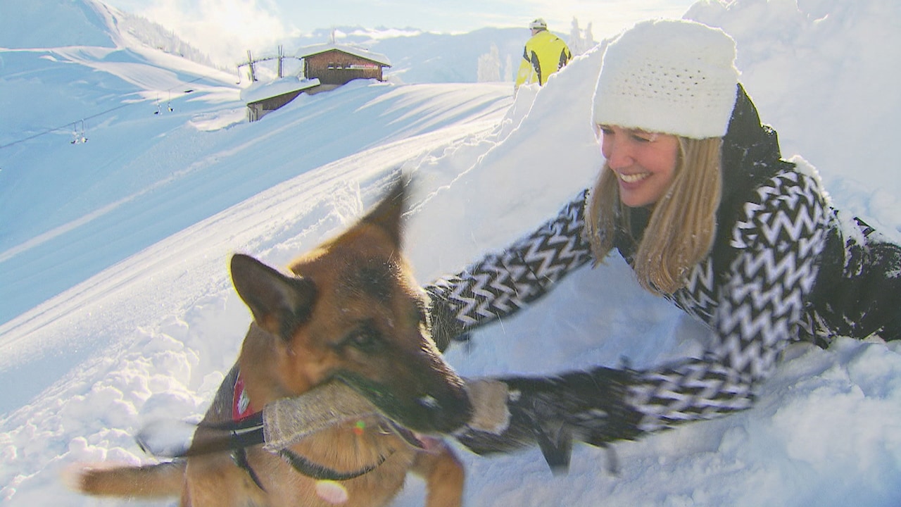 Bekijk ook: deze hond zoekt lawineslachtoffers